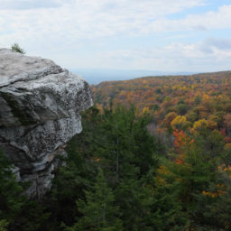 Planning an upstate getaway, brightening up winter, and chewing on books